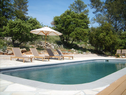 Oak and Pine trees are the backdrop for the dramatic pool.
